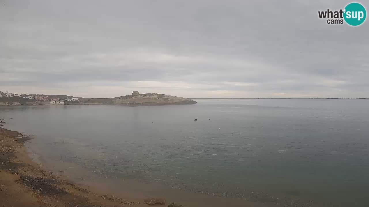 Sarchittu Webcam: Live Views of Stunning Beaches in Sardinia, Italy