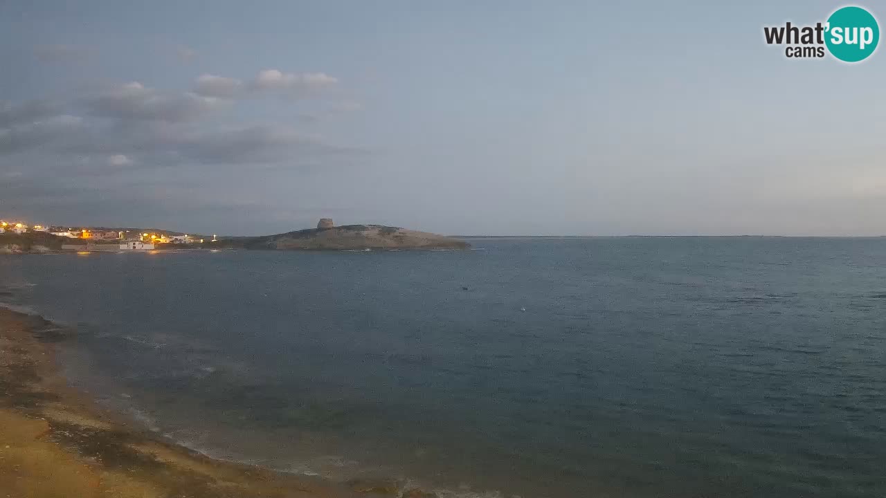 Sarchittu spletna kamera: Neposredni pogledi na osupljive plaže na Sardiniji, Italija