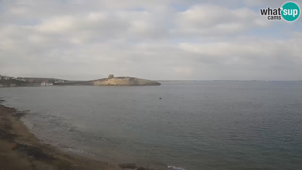 Webcam di Sarchittu: vista in tempo reale delle bellissime spiagge della Sardegna