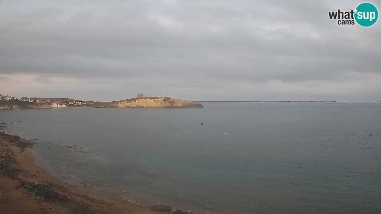 Sarchittu spletna kamera: Neposredni pogledi na osupljive plaže na Sardiniji, Italija