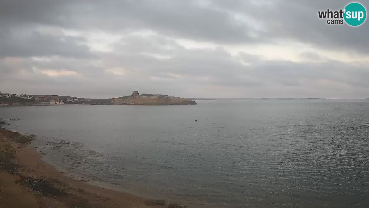 Webcam di Sarchittu: vista in tempo reale delle bellissime spiagge della Sardegna