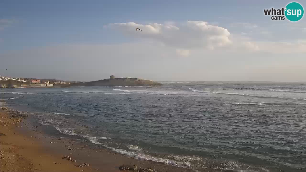 Sarchittu spletna kamera: Neposredni pogledi na osupljive plaže na Sardiniji, Italija