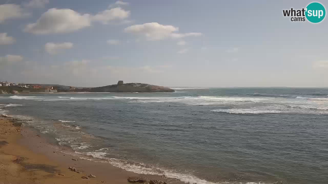 Webcam di Sarchittu: vista in tempo reale delle bellissime spiagge della Sardegna