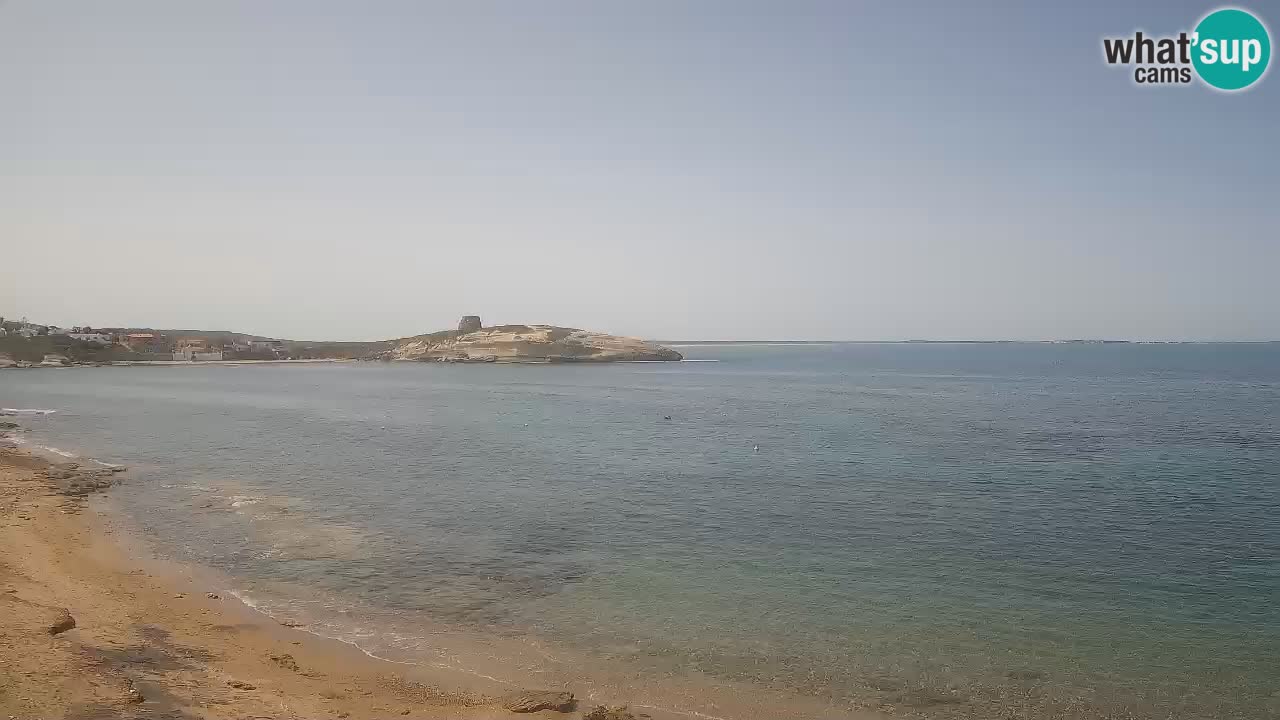 Webcam di Sarchittu: vista in tempo reale delle bellissime spiagge della Sardegna