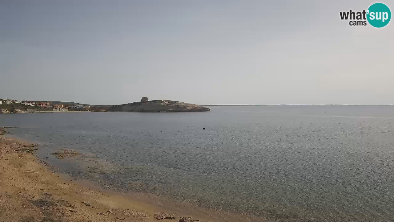 Webcam di Sarchittu: vista in tempo reale delle bellissime spiagge della Sardegna