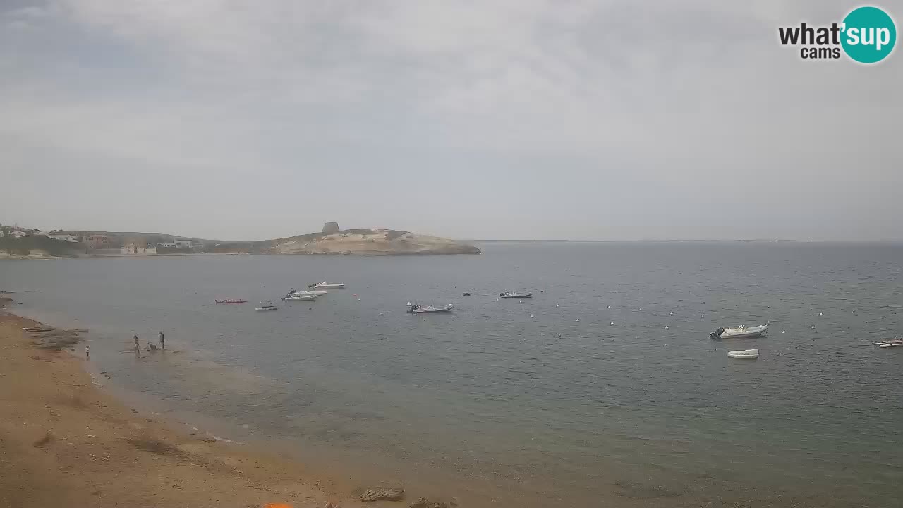 Sarchittu Webcam: Live Views of Stunning Beaches in Sardinia, Italy