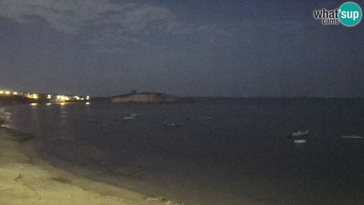 Sarchittu spletna kamera: Neposredni pogledi na osupljive plaže na Sardiniji, Italija