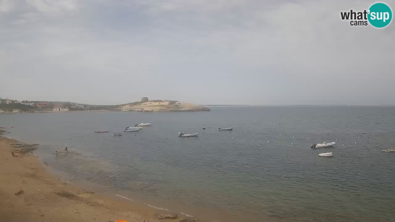 Webcam di Sarchittu: vista in tempo reale delle bellissime spiagge della Sardegna
