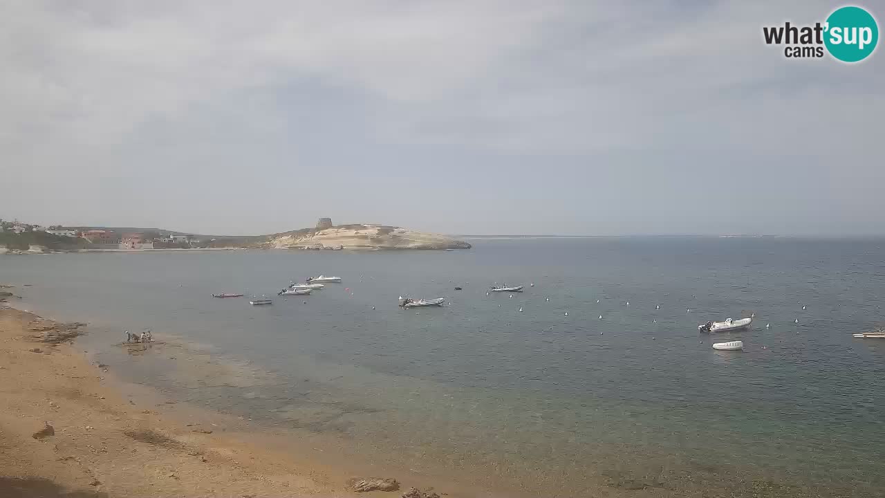 Webcam di Sarchittu: vista in tempo reale delle bellissime spiagge della Sardegna