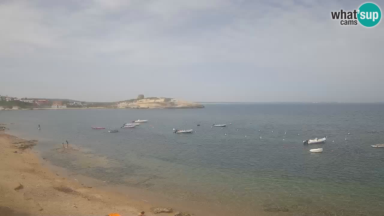 Webcam di Sarchittu: vista in tempo reale delle bellissime spiagge della Sardegna