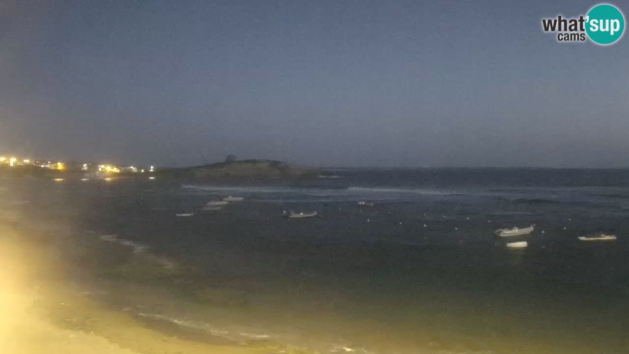 Sarchittu spletna kamera: Neposredni pogledi na osupljive plaže na Sardiniji, Italija