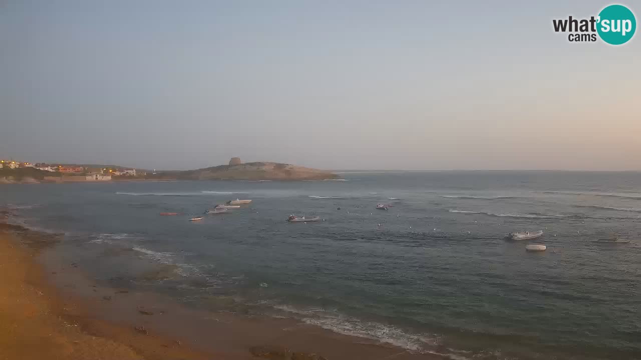 Sarchittu spletna kamera: Neposredni pogledi na osupljive plaže na Sardiniji, Italija