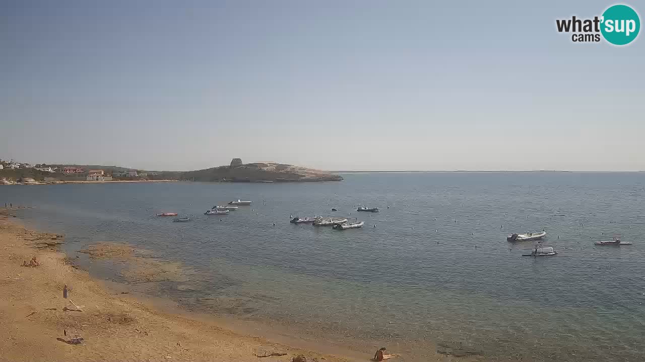 Webcam di Sarchittu: vista in tempo reale delle bellissime spiagge della Sardegna