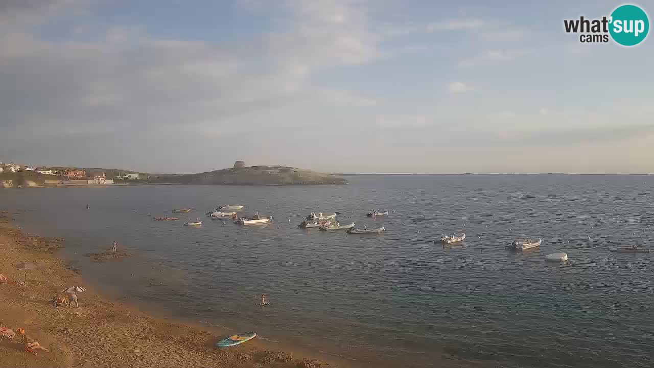 Webcam di Sarchittu: vista in tempo reale delle bellissime spiagge della Sardegna