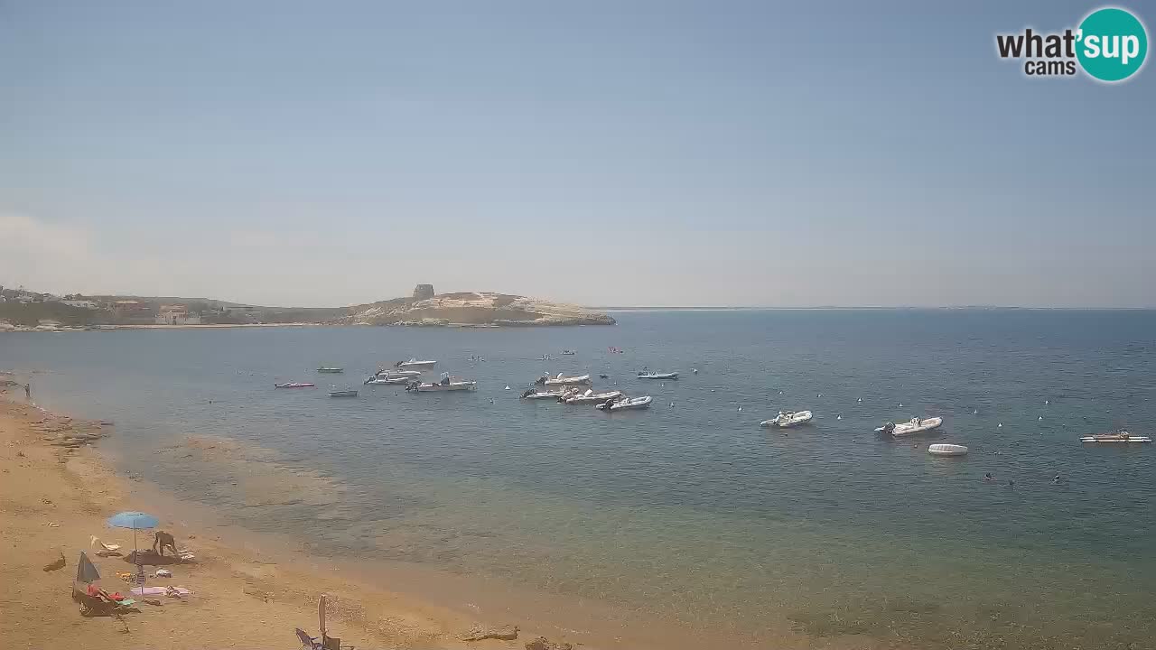 Webcam di Sarchittu: vista in tempo reale delle bellissime spiagge della Sardegna
