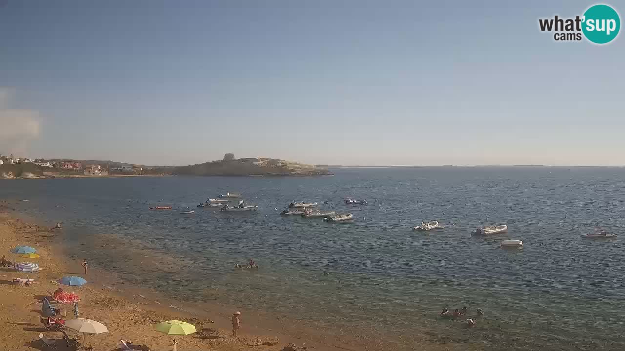 Sarchittu spletna kamera: Neposredni pogledi na osupljive plaže na Sardiniji, Italija