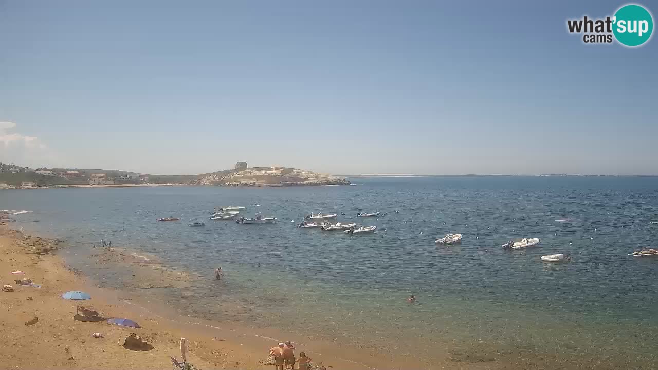 Webcam di Sarchittu: vista in tempo reale delle bellissime spiagge della Sardegna