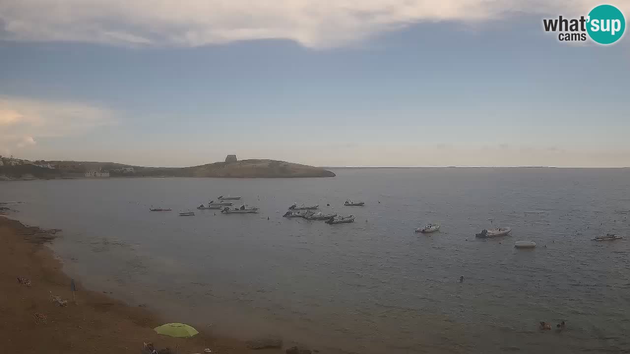 Webcam di Sarchittu: vista in tempo reale delle bellissime spiagge della Sardegna