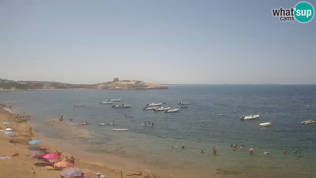 Webcam di Sarchittu: vista in tempo reale delle bellissime spiagge della Sardegna