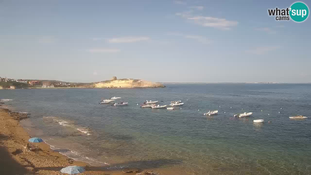Webcam di Sarchittu: vista in tempo reale delle bellissime spiagge della Sardegna