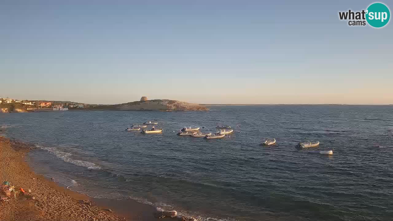 Sarchittu spletna kamera: Neposredni pogledi na osupljive plaže na Sardiniji, Italija