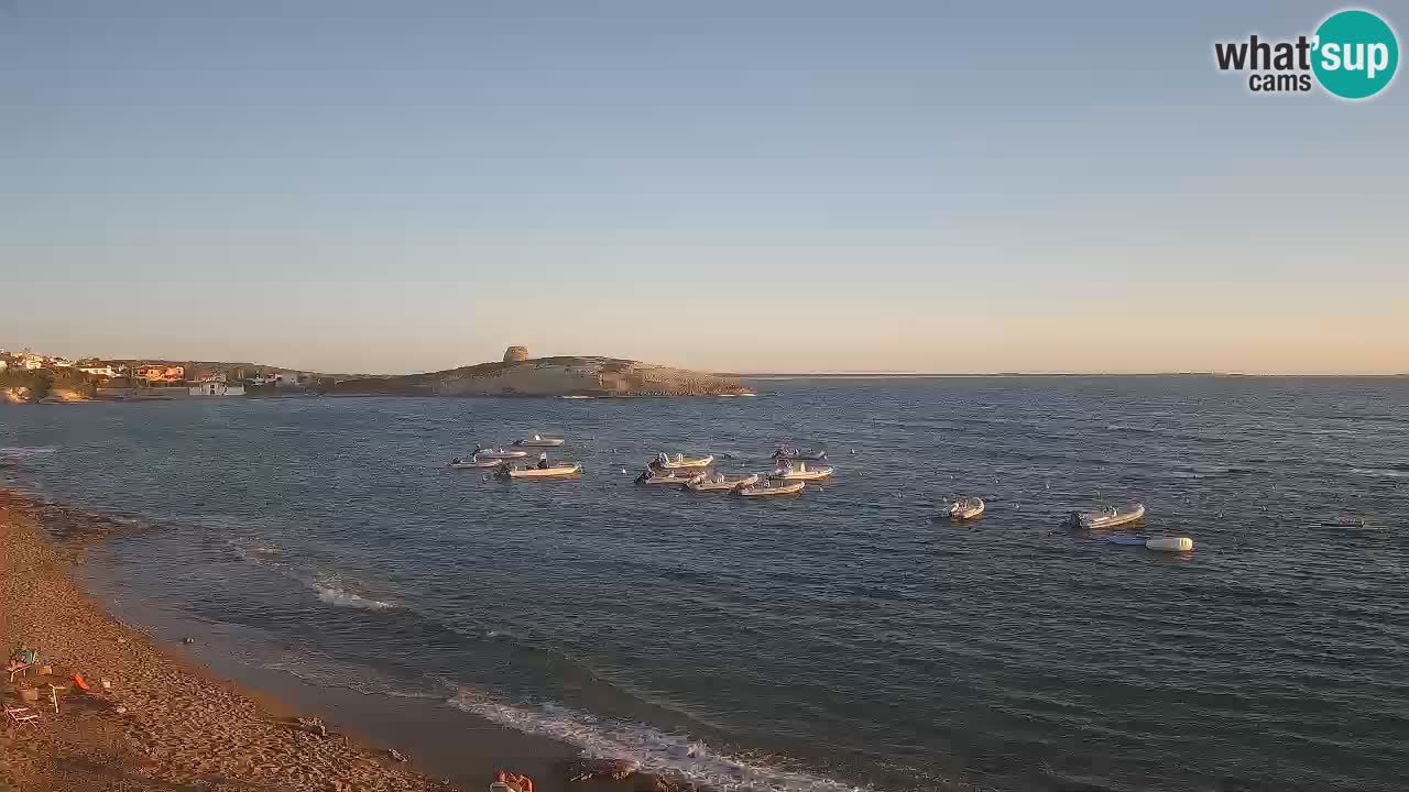 Sarchittu spletna kamera: Neposredni pogledi na osupljive plaže na Sardiniji, Italija