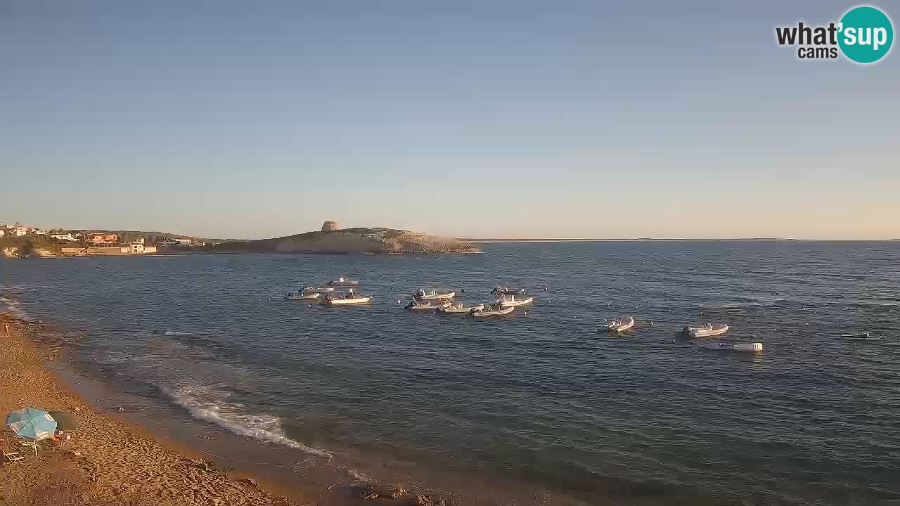 Webcam de Sarchittu : vues en direct des plages magnifiques de Sardaigne, Italie