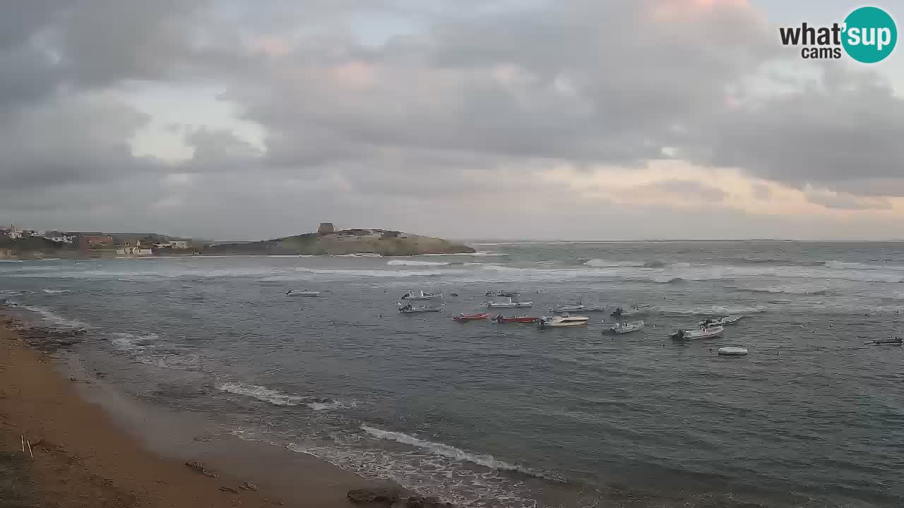 Webcam di Sarchittu: vista in tempo reale delle bellissime spiagge della Sardegna