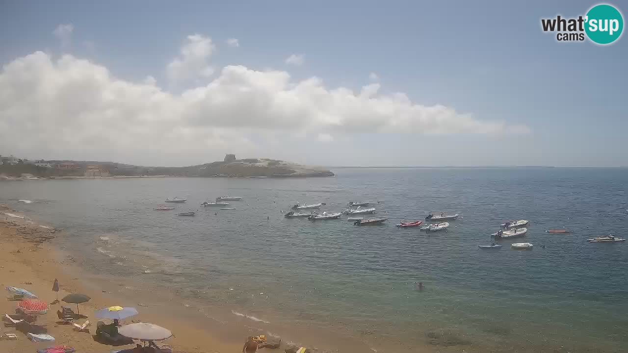 Webcam di Sarchittu: vista in tempo reale delle bellissime spiagge della Sardegna