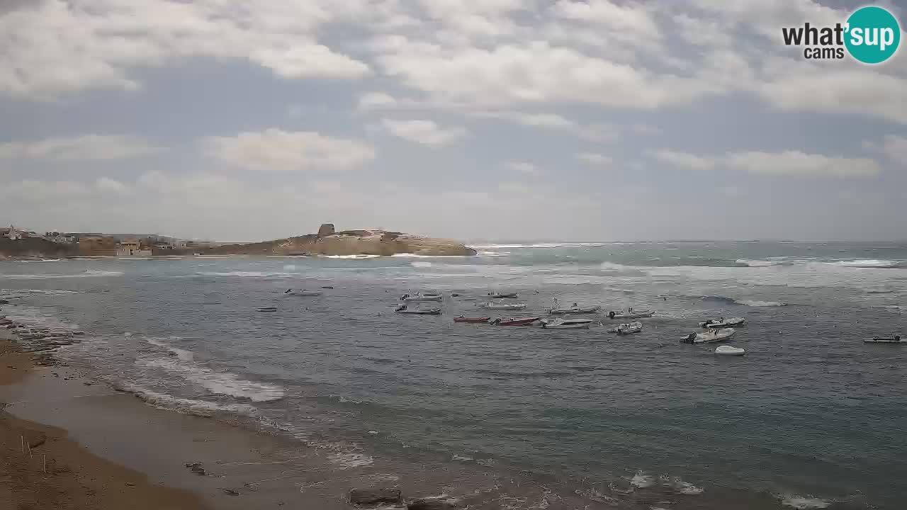 Webcam di Sarchittu: vista in tempo reale delle bellissime spiagge della Sardegna