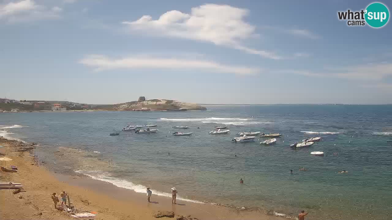 Webcam di Sarchittu: vista in tempo reale delle bellissime spiagge della Sardegna