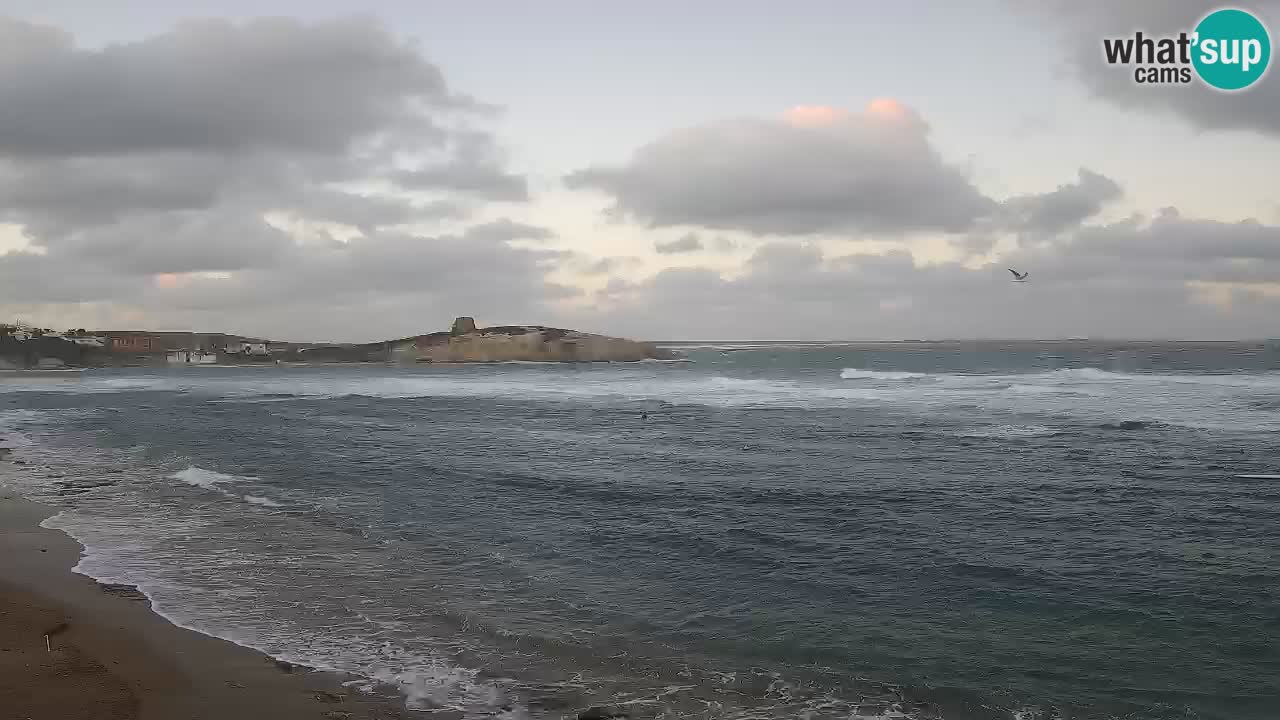 Webcam di Sarchittu: vista in tempo reale delle bellissime spiagge della Sardegna