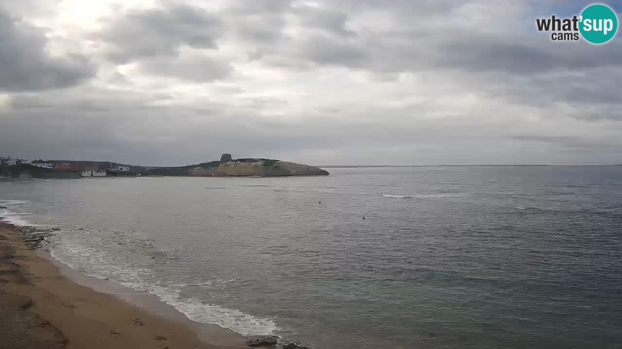 Webcam di Sarchittu: vista in tempo reale delle bellissime spiagge della Sardegna