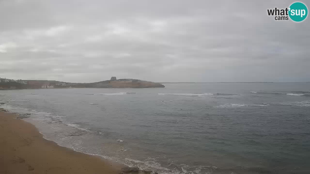 Webcam di Sarchittu: vista in tempo reale delle bellissime spiagge della Sardegna