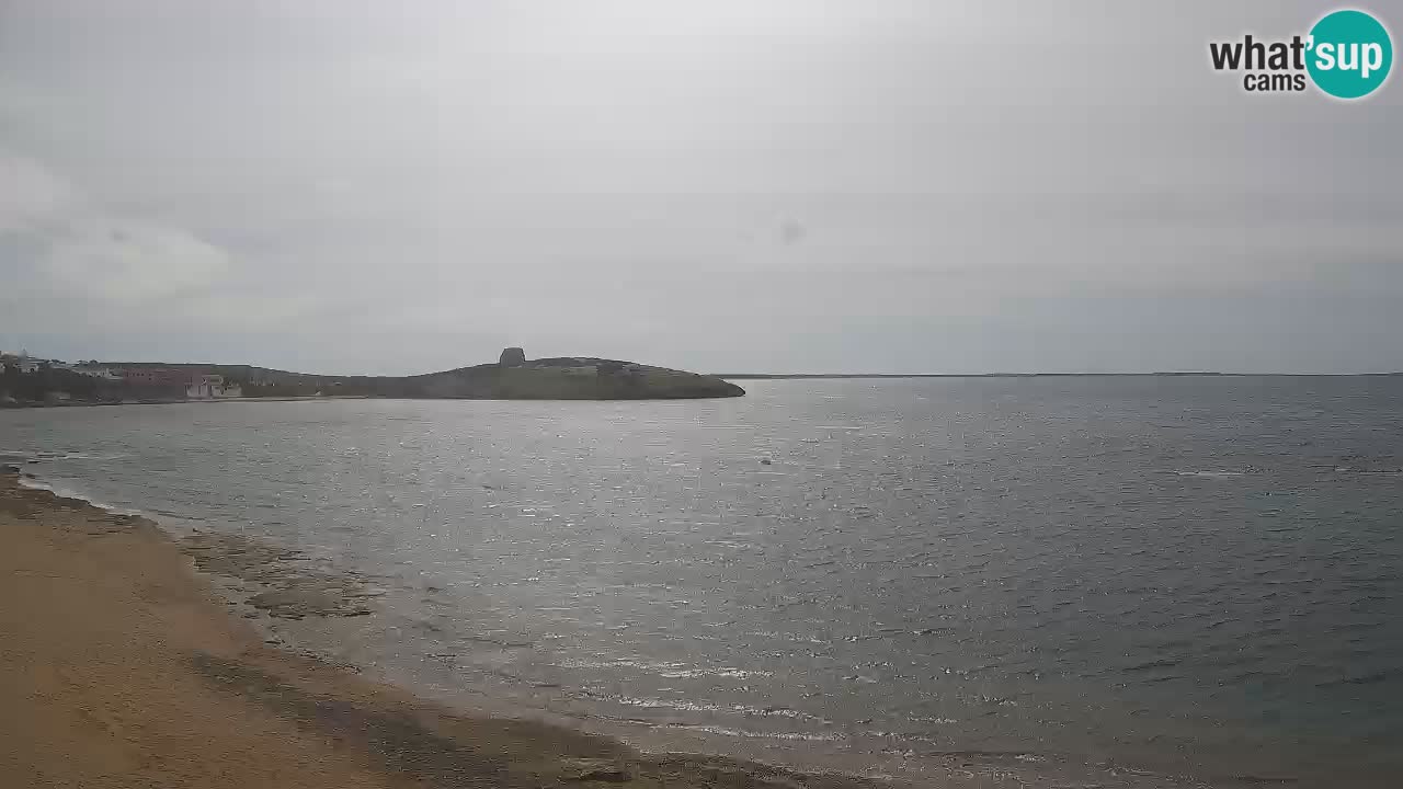 Sarchittu Webcam: Live Views of Stunning Beaches in Sardinia, Italy