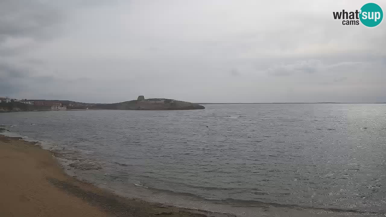 Webcam di Sarchittu: vista in tempo reale delle bellissime spiagge della Sardegna
