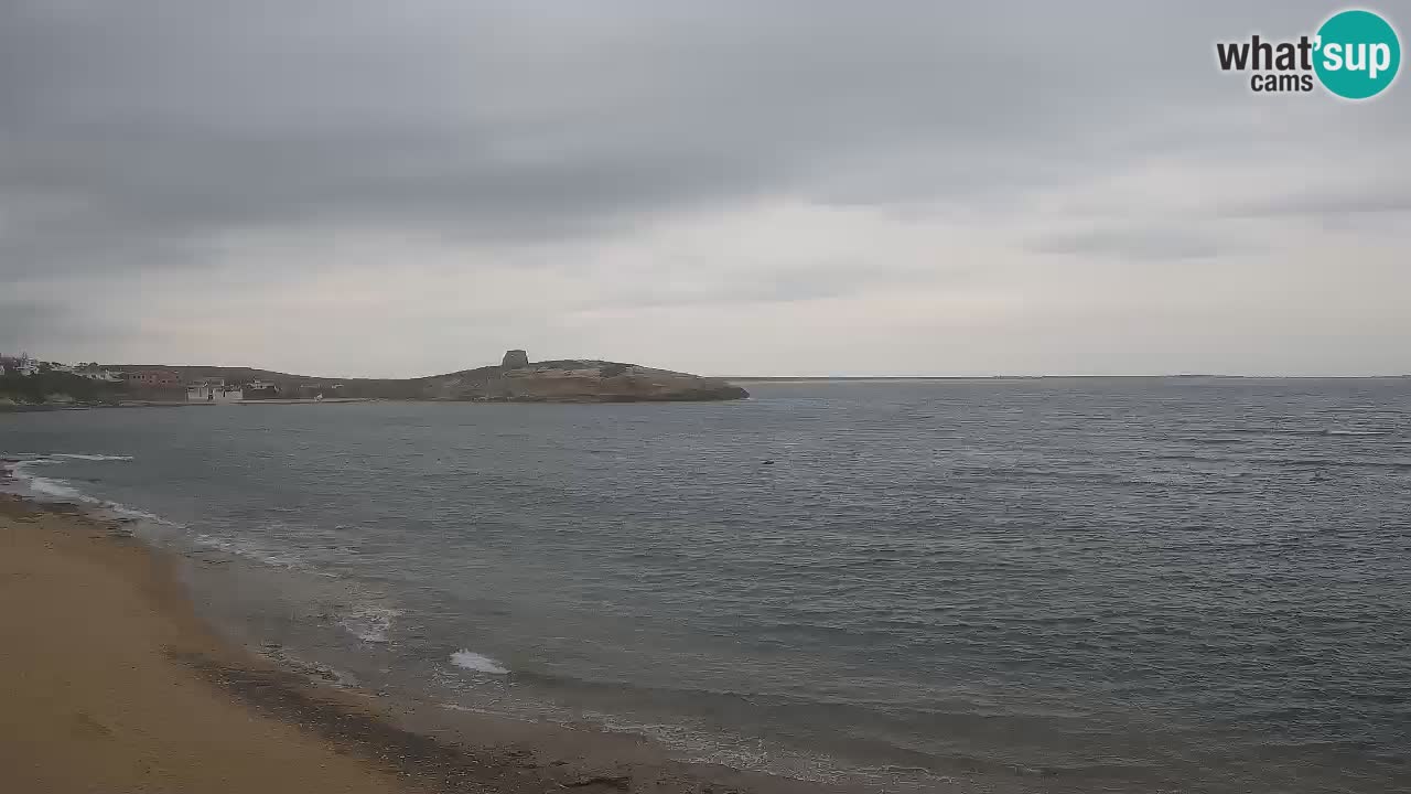 Webcam di Sarchittu: vista in tempo reale delle bellissime spiagge della Sardegna