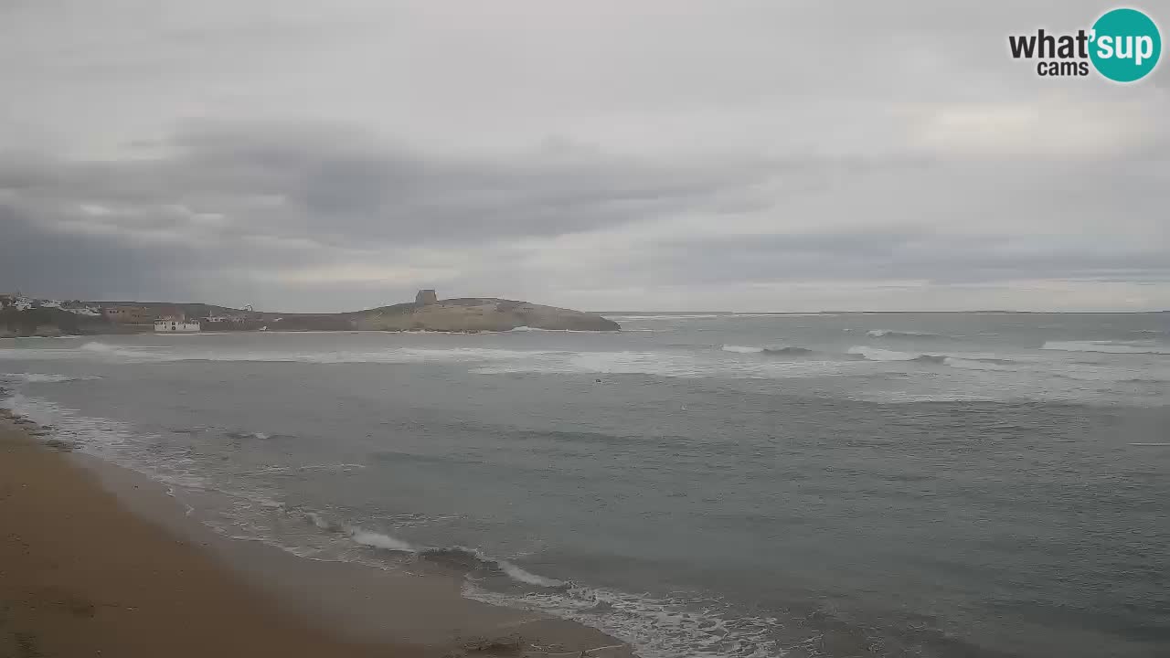 Webcam de Sarchittu : vues en direct des plages magnifiques de Sardaigne, Italie