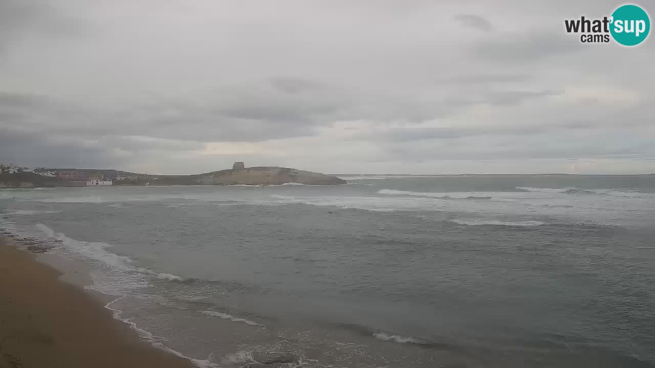 Sarchittu spletna kamera: Neposredni pogledi na osupljive plaže na Sardiniji, Italija