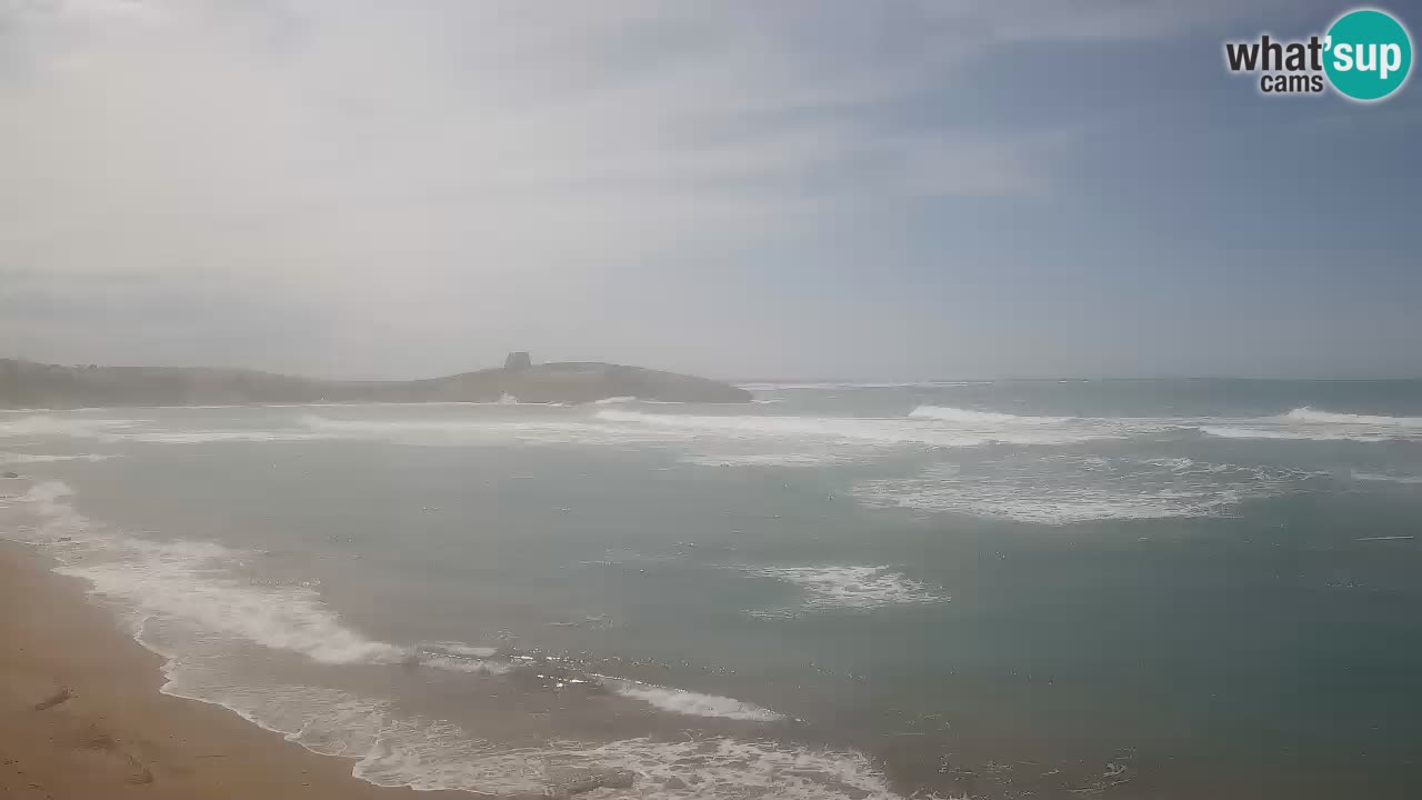 Webcam di Sarchittu: vista in tempo reale delle bellissime spiagge della Sardegna
