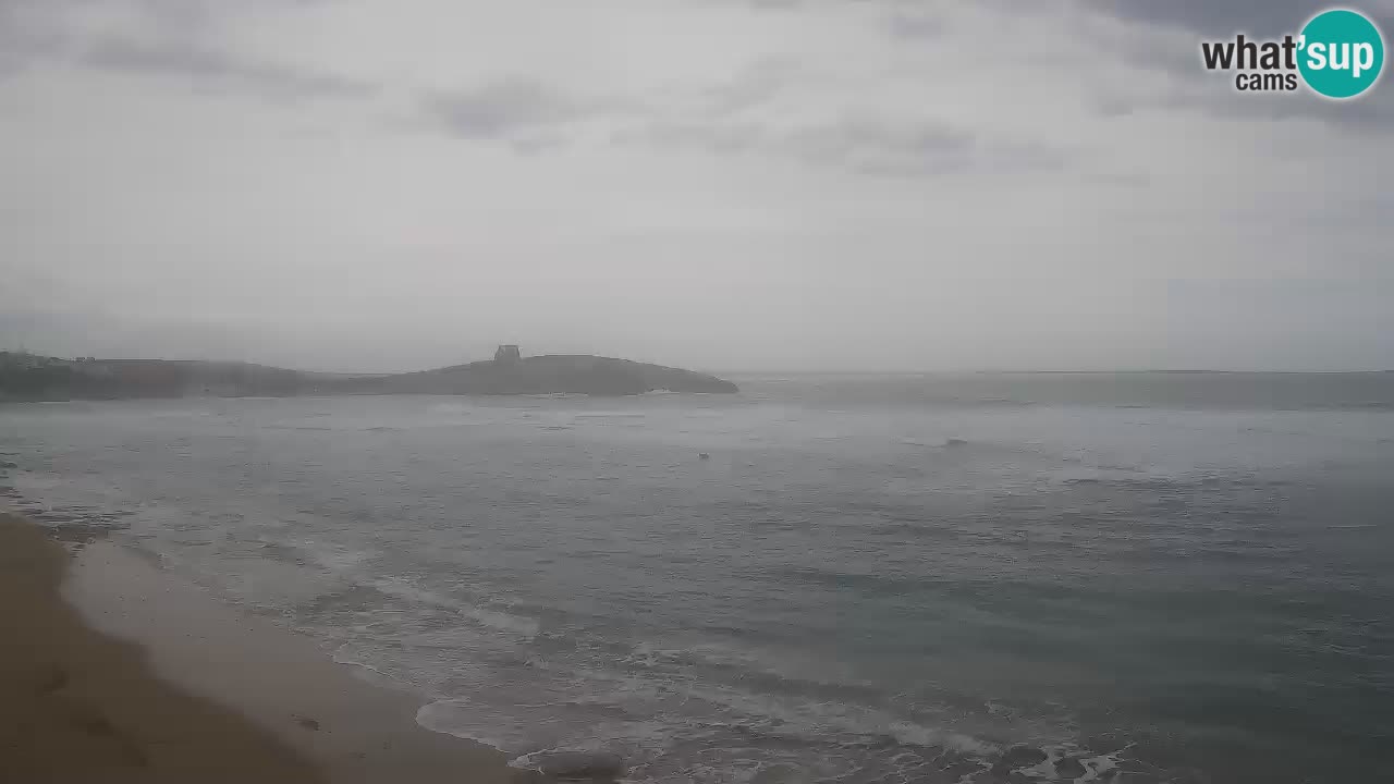 Webcam di Sarchittu: vista in tempo reale delle bellissime spiagge della Sardegna