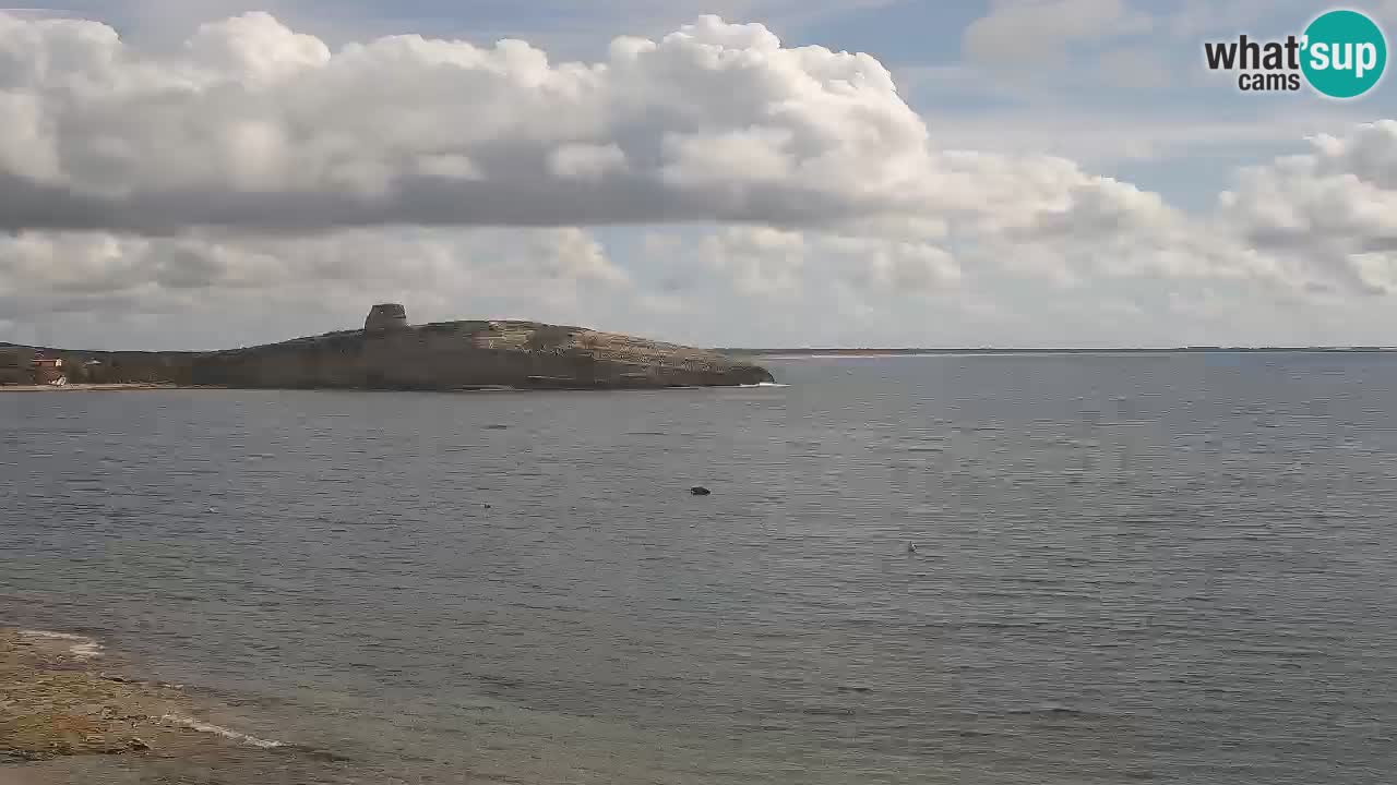 Camera en vivo Sarchittu: vistas en vivo de impresionantes playas en Cerdeña, Italia