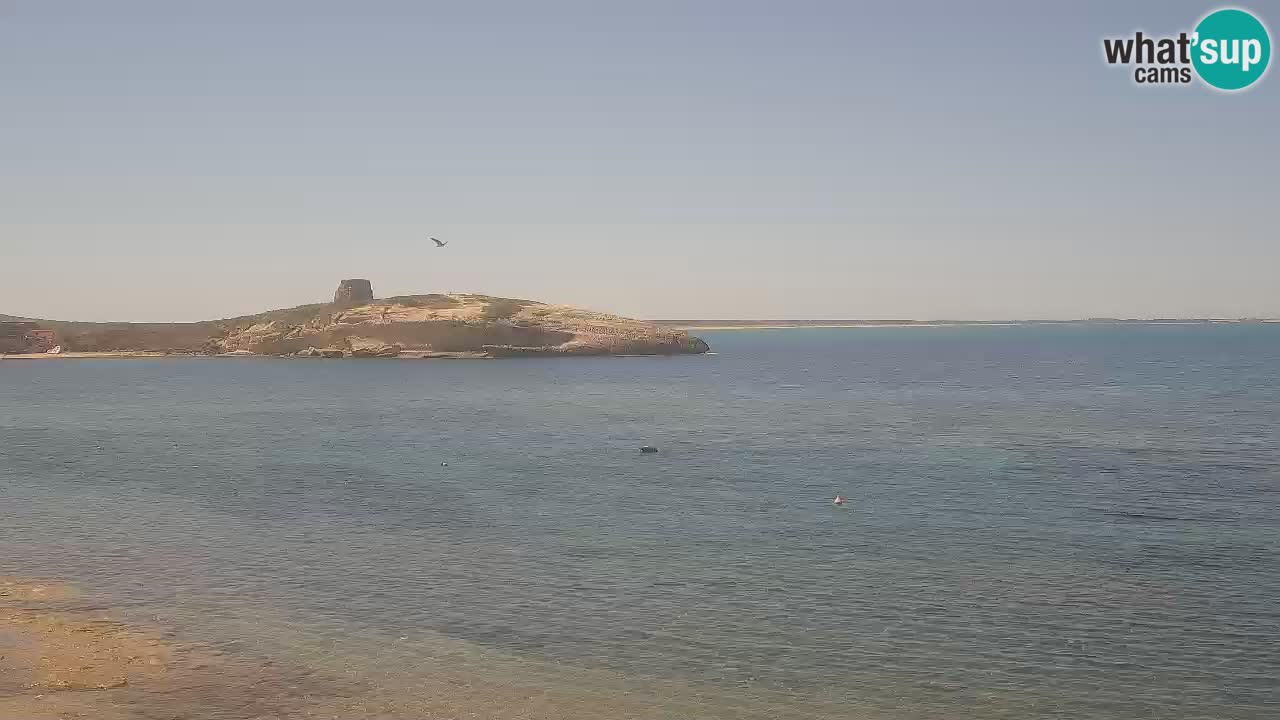 Webcam di Sarchittu: vista in tempo reale delle bellissime spiagge della Sardegna
