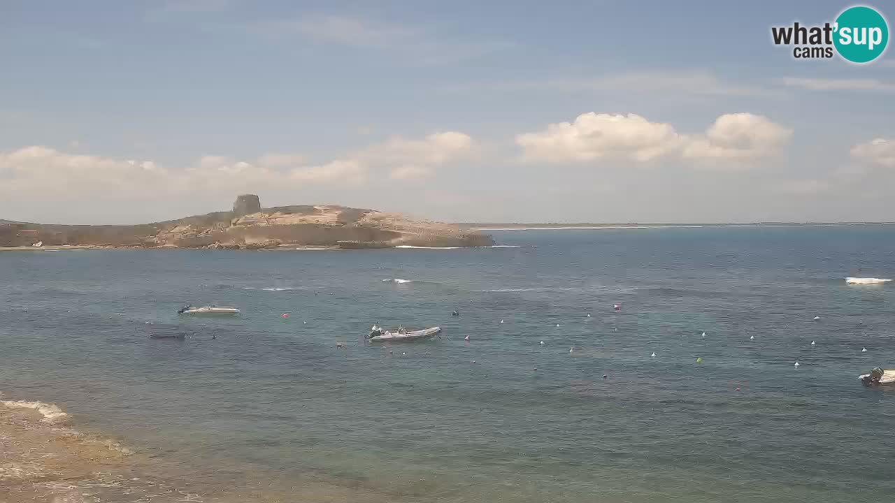 Webcam di Sarchittu: vista in tempo reale delle bellissime spiagge della Sardegna