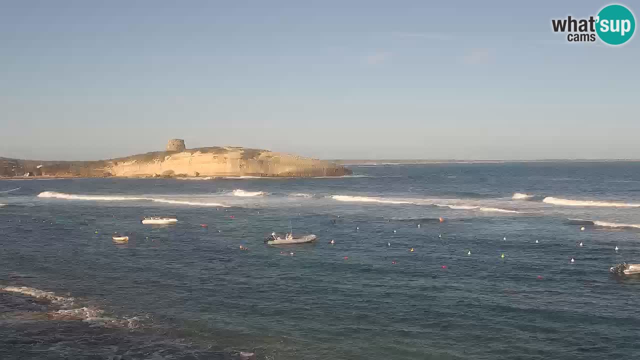 Webcam di Sarchittu: vista in tempo reale delle bellissime spiagge della Sardegna