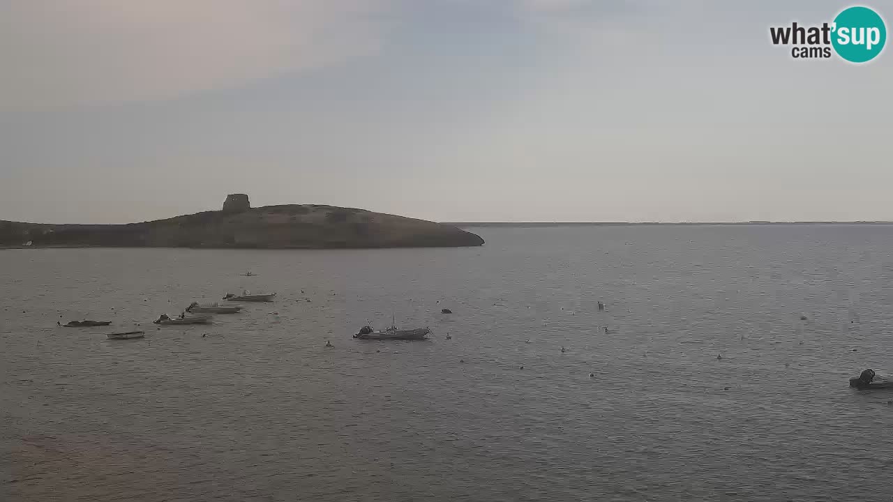 Camera en vivo Sarchittu: vistas en vivo de impresionantes playas en Cerdeña, Italia