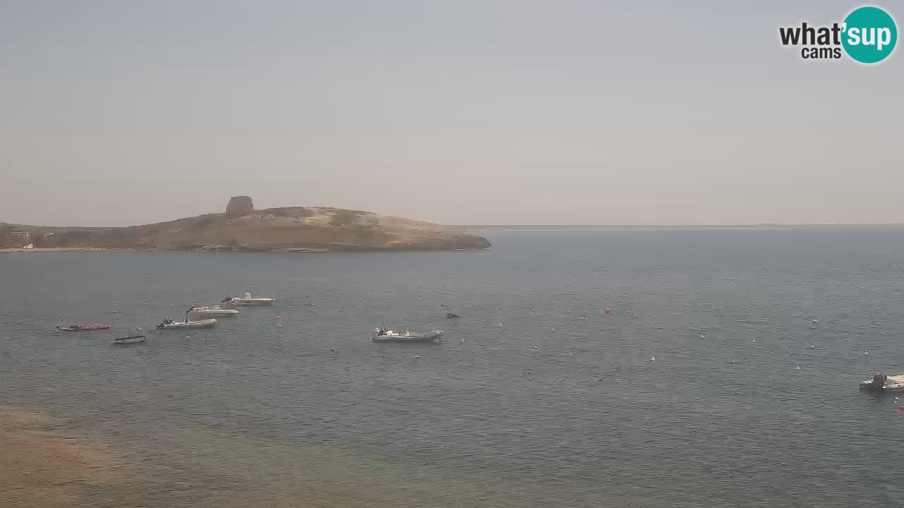 Webcam di Sarchittu: vista in tempo reale delle bellissime spiagge della Sardegna