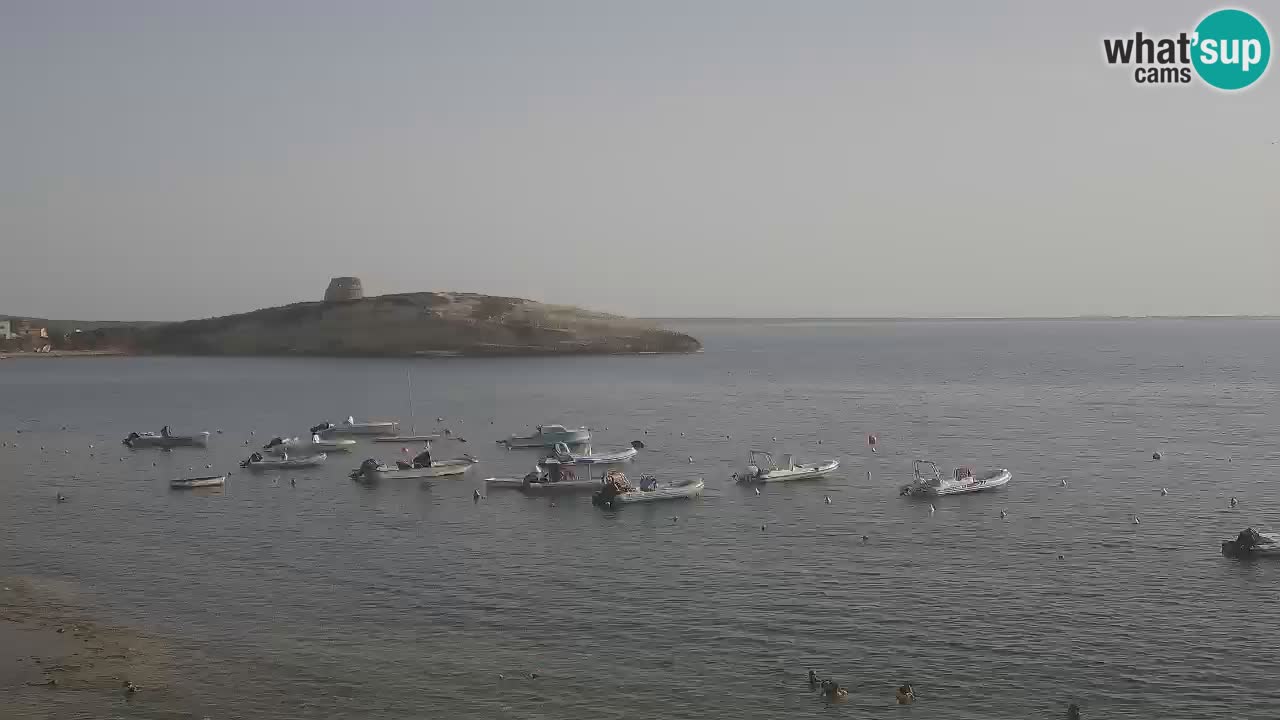 Sarchittu spletna kamera: Neposredni pogledi na osupljive plaže na Sardiniji, Italija