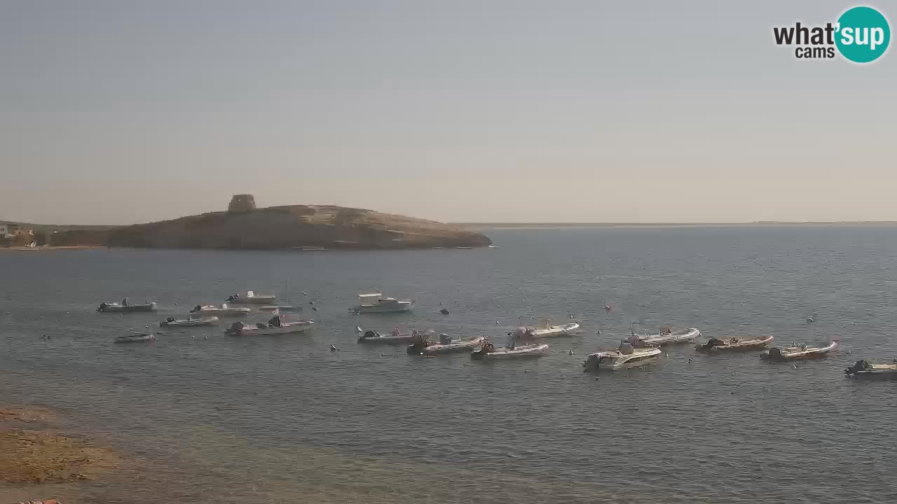 Webcam di Sarchittu: vista in tempo reale delle bellissime spiagge della Sardegna