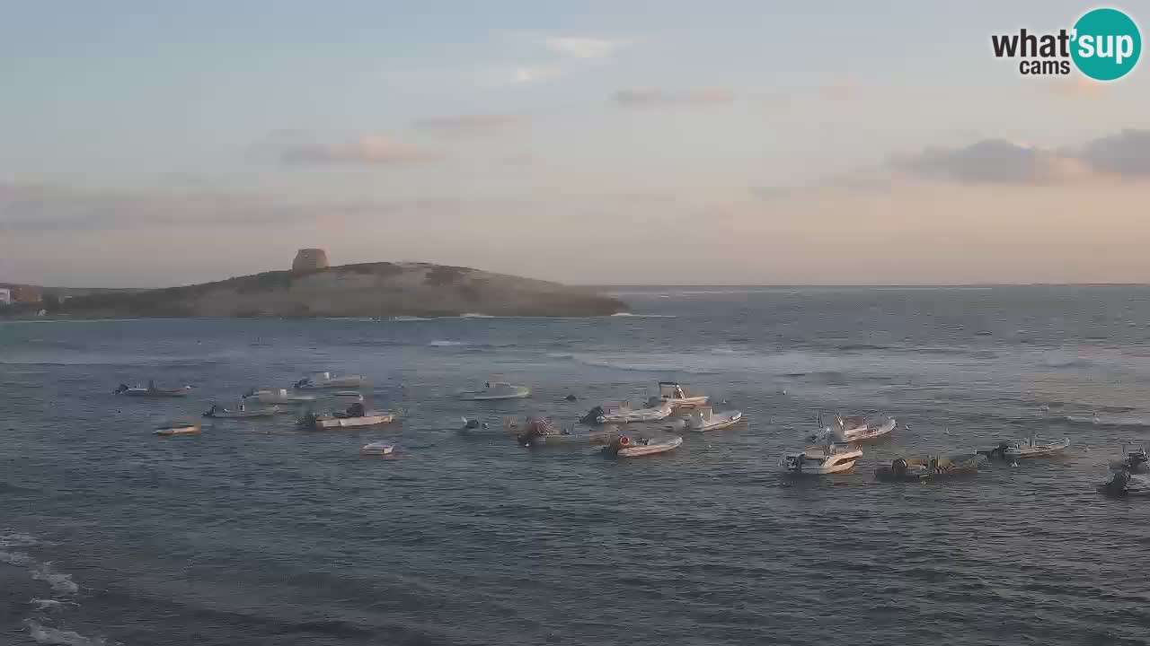 Sarchittu spletna kamera: Neposredni pogledi na osupljive plaže na Sardiniji, Italija